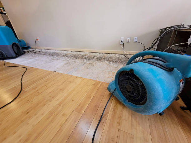 Professional Structural Drying technician working in Bayview, ID